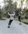 INDIANA-SKATE-CRUI-N_1746800462.81633_INDIANA-SKATE-CRUI-N_1.jpeg