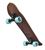 INDIANA-SKATE-SURF-PW_1757760078.15418_INDIANA-SKATE-SURF-PW_2.jpeg