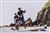 SHARKSUP-126-RACE_1757760340.58811_SHARKSUP-126-RACE.jpg