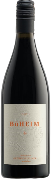 Grüner Veltliner Alte Reben Carnuntum D